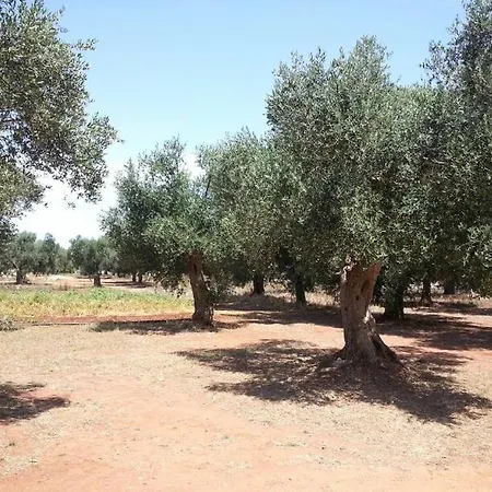 Farm stay Azienda Agrituristica La Torre *