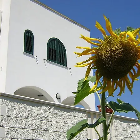 Farm stay Azienda Agrituristica La Torre