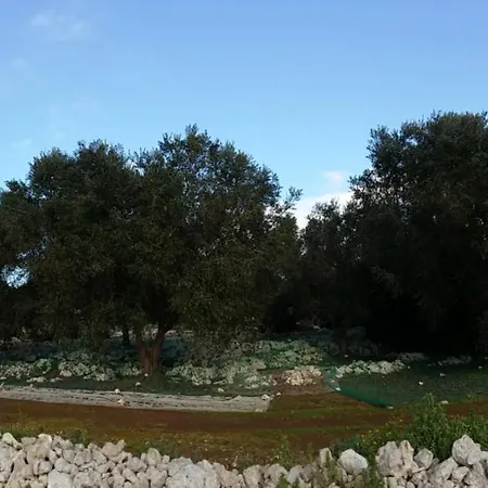 Farm stay Azienda Agrituristica La Torre Vignacastrisi